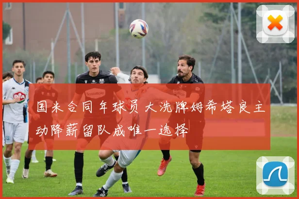 国米合同年球员大洗牌姆希塔良主动降薪留队成唯一选择