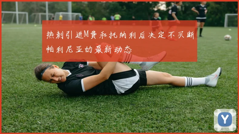 热刺引进M费和托纳利后决定不买断帕利尼亚的最新动态